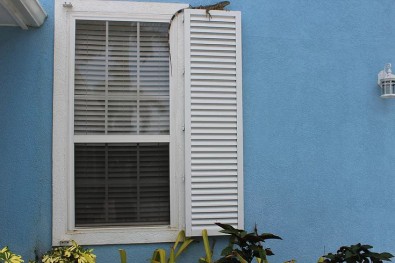 HINGE COLONIAL SHUTTERS