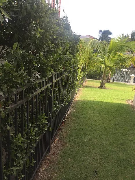 DOUBLE TOP CHANNEL FENCE